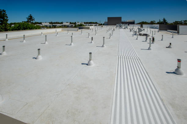 Best Roof Insulation Installation  in Sagamore, MA
